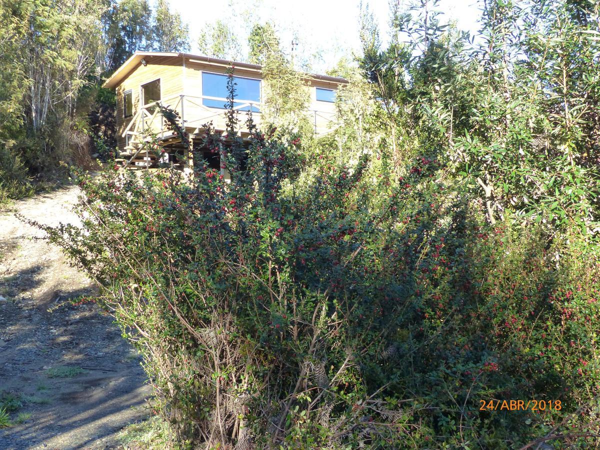Cabanas Latitud 41 Sur Quillaipe Extérieur photo