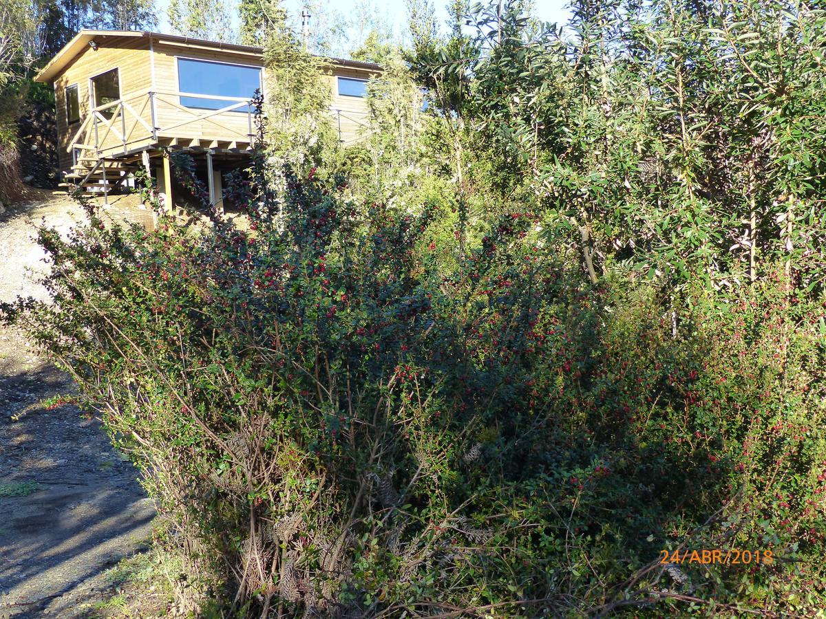 Cabanas Latitud 41 Sur Quillaipe Extérieur photo
